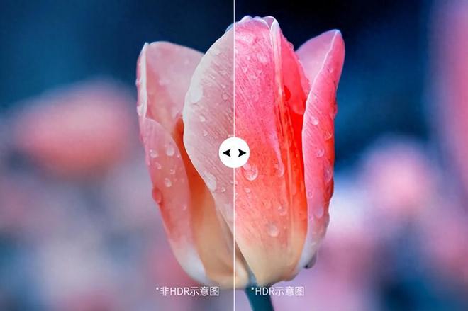 影院可以从这些方面入手爱游戏体育想要升级家庭(图5)