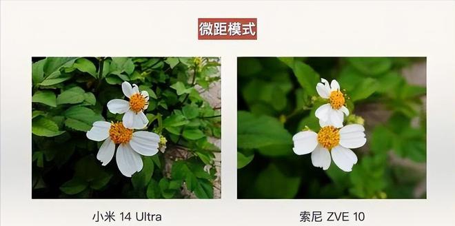 索尼占比97％再看中国海信差距太大了爱游戏app网站日本电视市场现状！(图4)