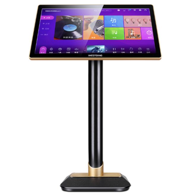 怎么选？2025年最值得入手的品牌盘点爱游戏入口点歌机品牌推荐：家庭KTV(图2)