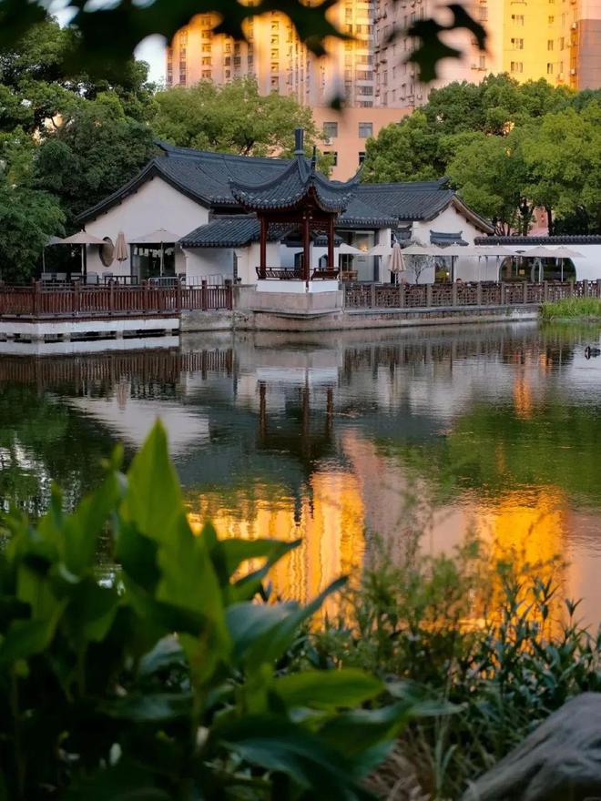 元售楼处 金茂璞元发布：炙手可热爱游戏app入口【动态】金茂璞(图6)